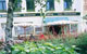 Voir H�tel Les Frangins