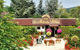 Go to H�tel Le Mas des Lilas