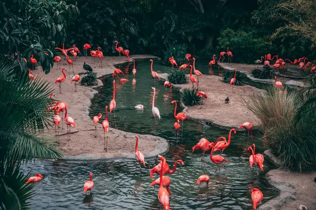 zoo paris