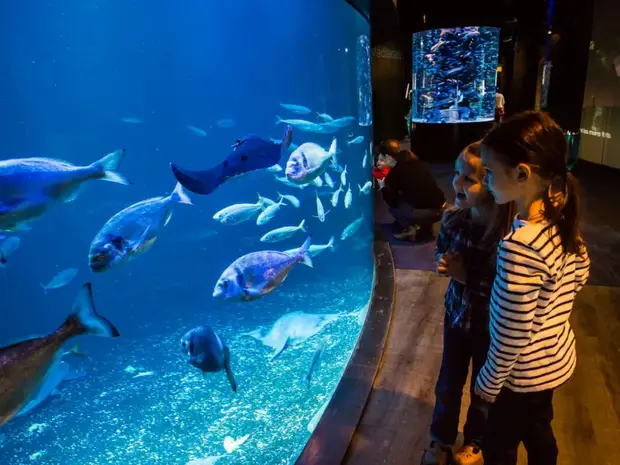aquarium de paris children