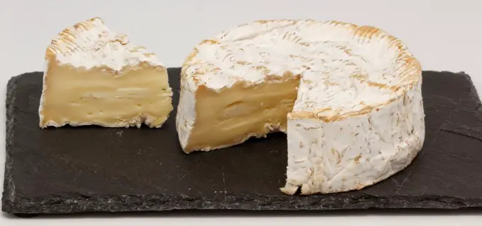 Camembert cheese