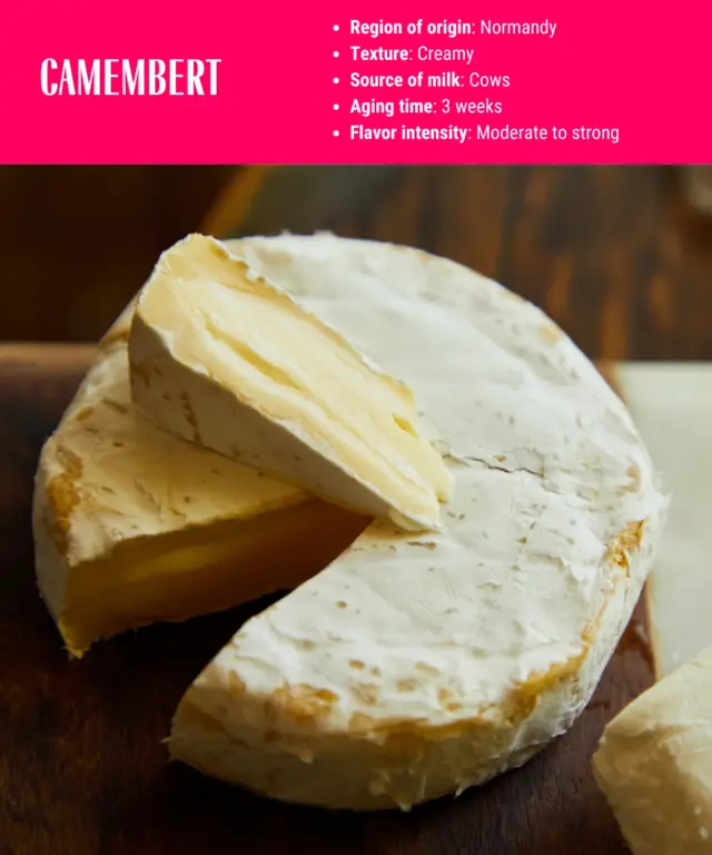 description of Camembert cheese