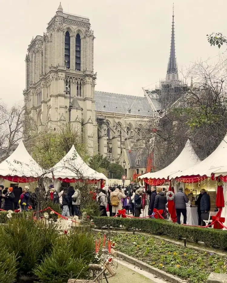 notre dame xmas market