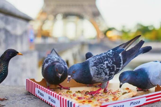 18 Worst Tourist Behaviors That Everyone Hates in Paris