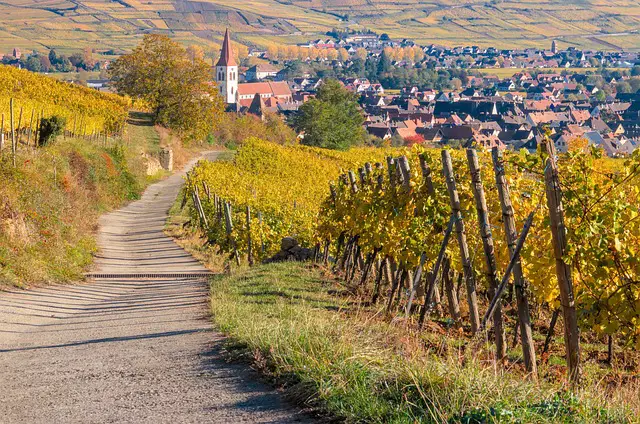 Vignoble Alsace