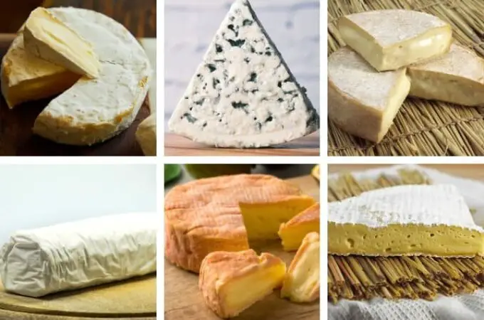 Interviews exclusives avec les 12 fromages les plus populaires de France