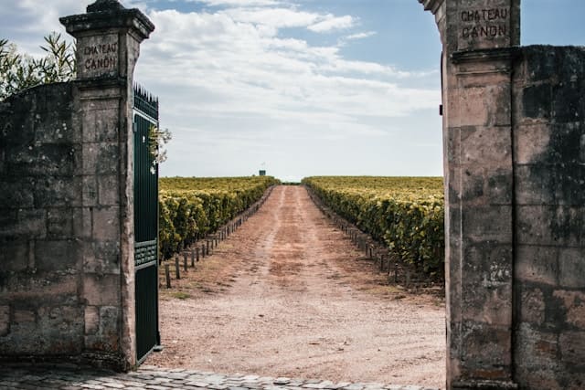 vignole saint-emilion