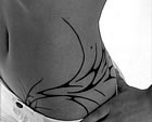 Body show
